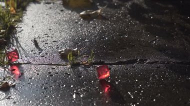 Kırmızı zar yavaş çekimde bir betonarme döşeme üzerinde haddeleme