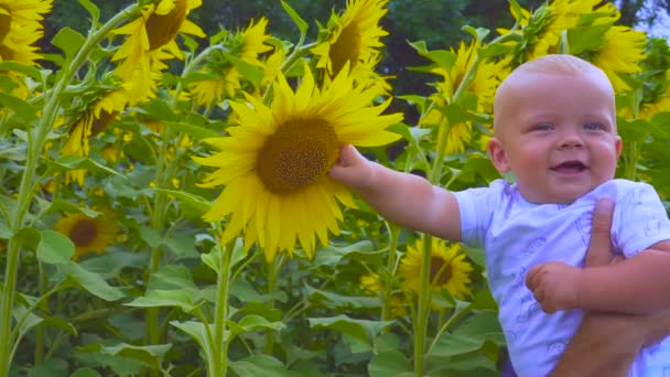 Ребенок играет с цветком подсолнуха — стоковое видео