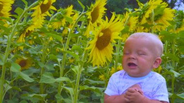 Baba ve oğul ayçiçeği bir çiçek ile oynamak