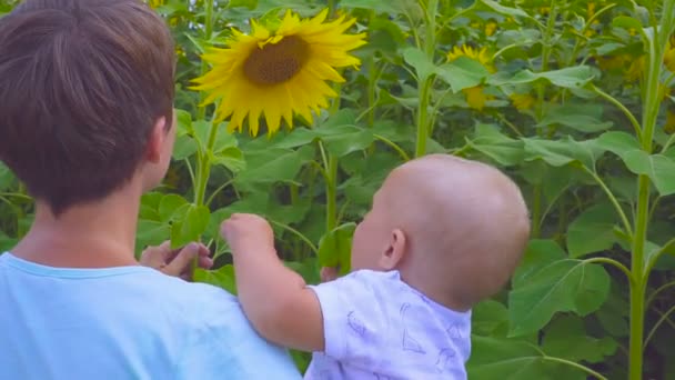 母と息子のひまわりの花と遊ぶ — ストック動画