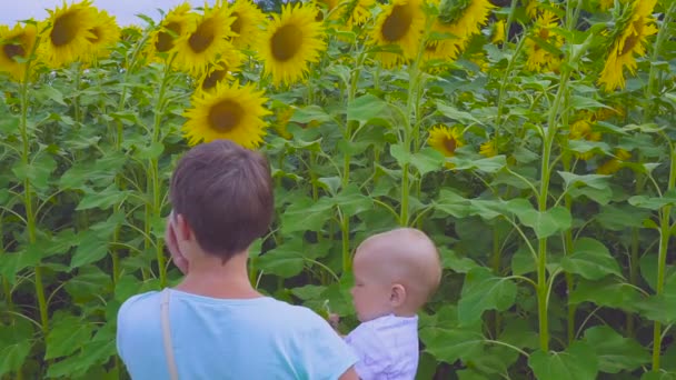 Anne ve oğlu ayçiçeği bir çiçek ile oynamak — Stok video