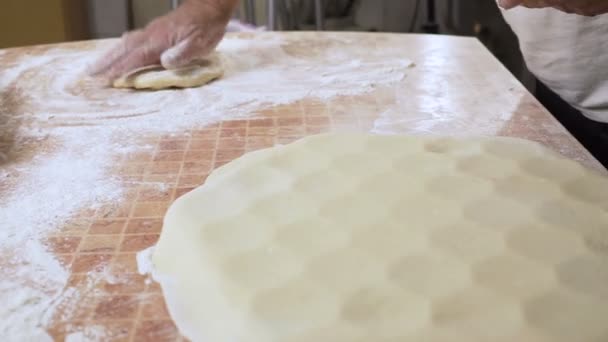 Pokrywy tworzą ciasto dumpling hd — Wideo stockowe