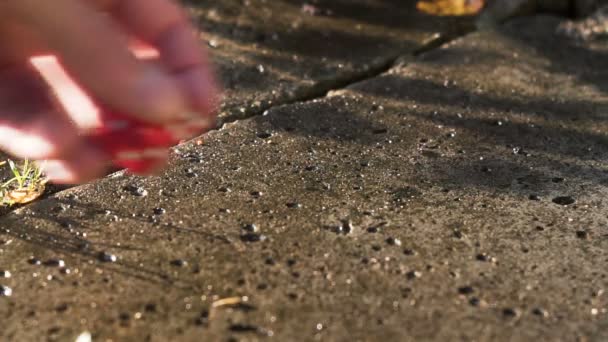 Dados rojos rodando en una losa de hormigón en cámara lenta — Vídeos de Stock