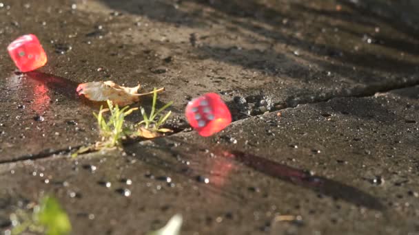 Red dice rolling on a concrete slab in slow motion — Stock Video
