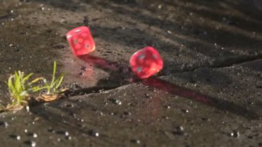 Kırmızı zar içinde yavaş bir betonarme döşeme üzerinde haddeleme hd hareket