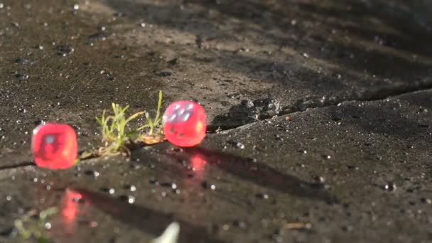Röd tärningarna faller på en betongplatta i slow motion — Stockvideo
