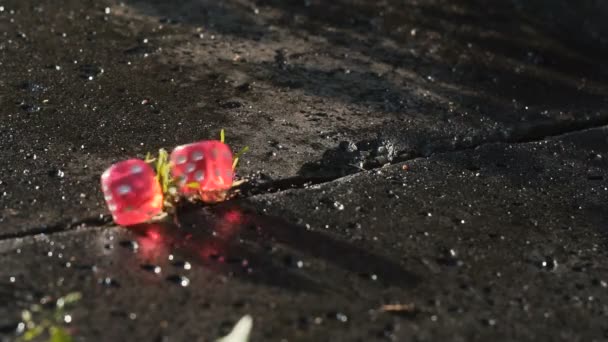 Red dice falls on a concrete slab in slow motion — Stock Video