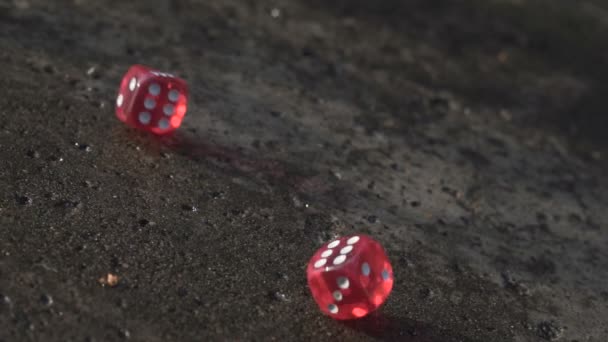 Rode dobbelstenen valt op een betonvloer in slow motion — Stockvideo
