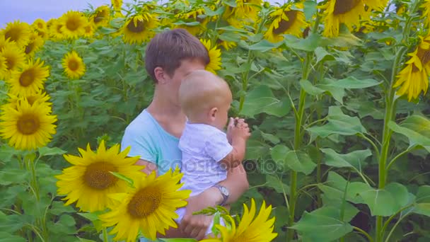 Anne ve oğlu ayçiçeği bir çiçek ile oynamak — Stok video