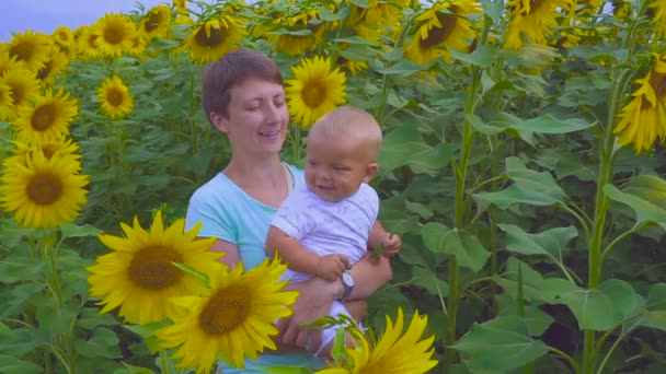 어머니와 아들이 해바라기의 꽃과 함께 연주 — 비디오