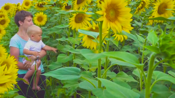 Mère et fils jouant avec une fleur de tournesol — Video