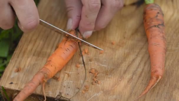 Mann schneidet Möhren mit Messer — Stockvideo