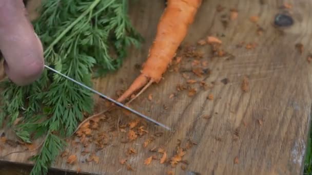 Hombre está limpiando zanahorias — Vídeo de stock