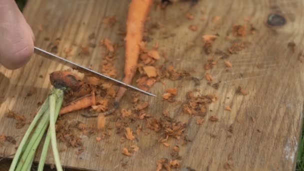 Hombre está limpiando zanahorias hd — Vídeo de stock