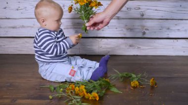 sarı çiçekler yavaş hareket bir çocukla