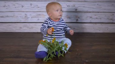 hd bebek sarı çiçekler