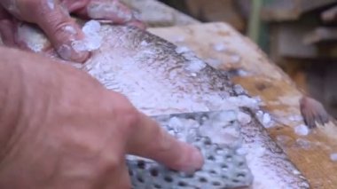 adam Balık Temizleme