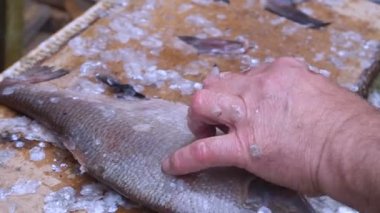 adam bir kesme tahtası üzerinde Balık Temizleme
