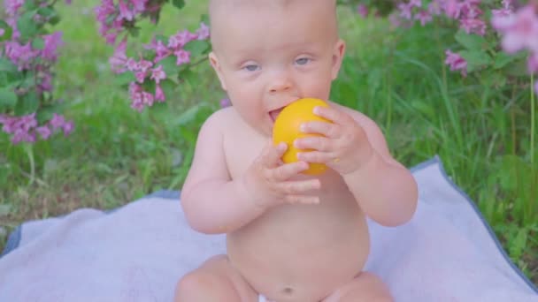 Een gelukkige baby eten een sinaasappel — Stockvideo