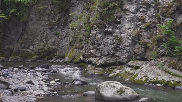 El río de montaña fluye rápidamente — Vídeos de Stock
