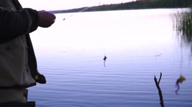 balıkçı kanca çubuk üzerinde balık için yem olarak solucanlar koyar