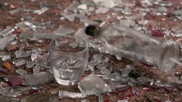 Falling bottle of vodka — Stock Footage Falling bottle of vodka Video Clip