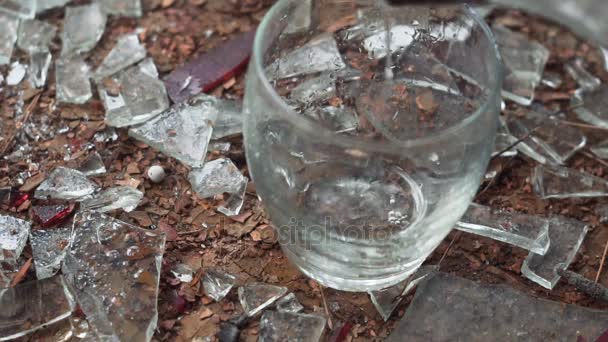The alcoholic is pour out vodka — Stock Footage The alcoholic is pour out vodka Stock Video