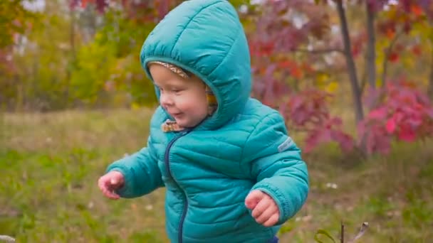 Un niño de una oreja corre por el parque de otoño y juega con flores. cardán — Vídeos de Stock