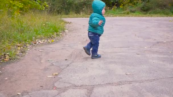 Un chico de la oreja corre por el parque de otoño y sonríe. cardán — Vídeo de stock
