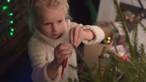 Ragazza veste un albero di Natale — Video Stock