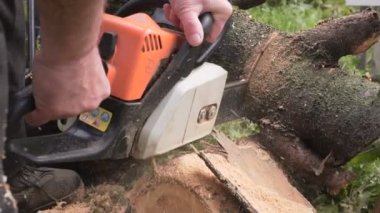 testereler ve talaş closeup ağır çekim