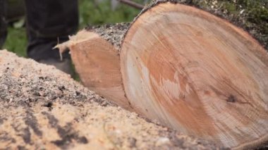 testereler ve talaş closeup ağır çekim