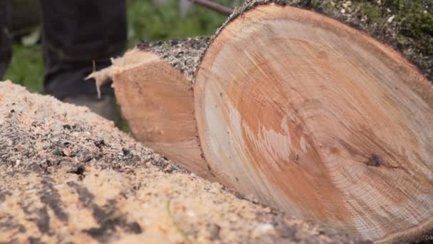 Saws and sawdust closeup slow motion — Stock Video