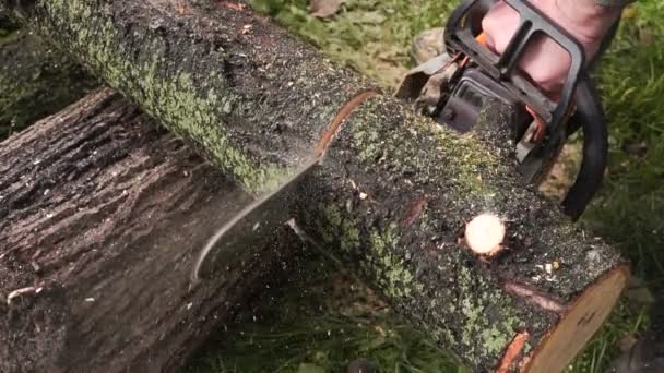 Saws and sawdust closeup slow motion — Stock Video