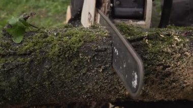 testereler ve talaş closeup ağır çekim