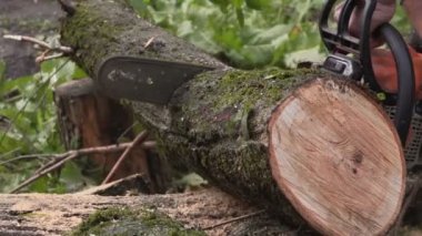 testereler ve talaş closeup ağır çekim