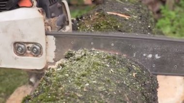 testereler ve talaş closeup ağır çekim