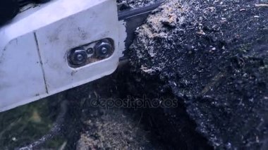 testereler ve talaş closeup ağır çekim