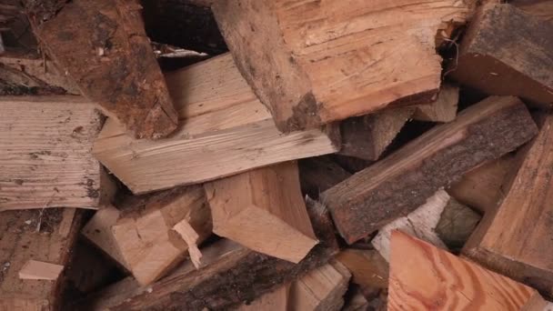 Holz Hintergrund Gimbal — Stockvideo