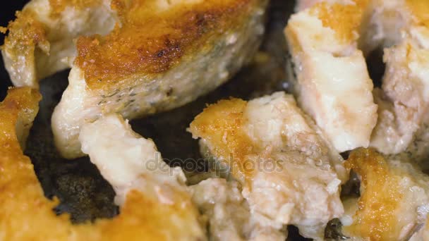 Bistecche di pesce fritte in padella. Frigga il pesce luccio grande in una padella per friggere . — Video Stock