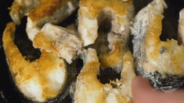 Filetes de pescado frito en sartén. Freír pescado de lucio grande en una sartén . — Vídeos de Stock
