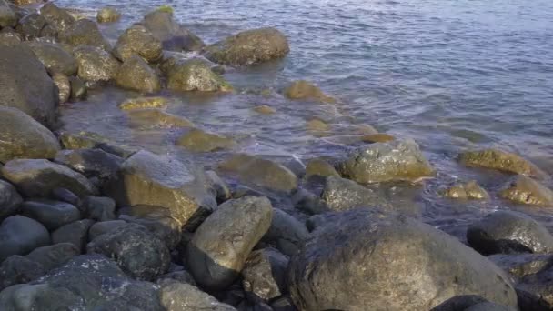 Water spatten op de rotsachtige kust-dag — Stockvideo