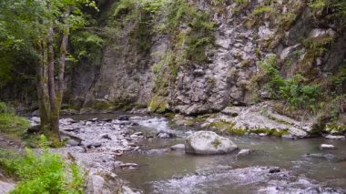 hızla 4 k dağ nehir akar