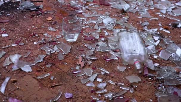 Botella con vodka cae al suelo — Vídeo de stock