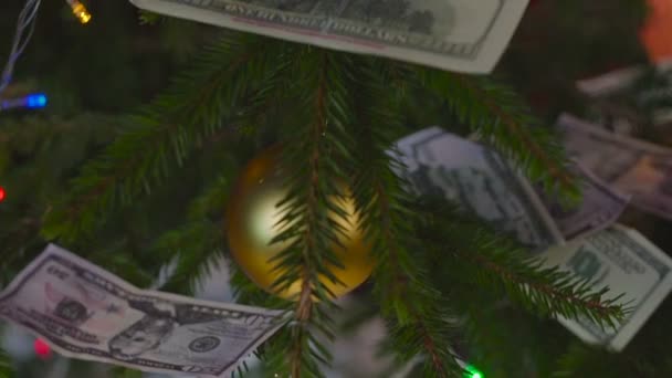 圣诞节的钱 — 图库视频影像