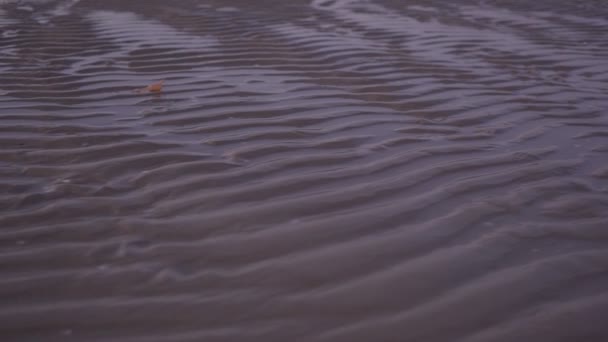 Dunas de arena como fondo plano de cerca — Vídeo de stock