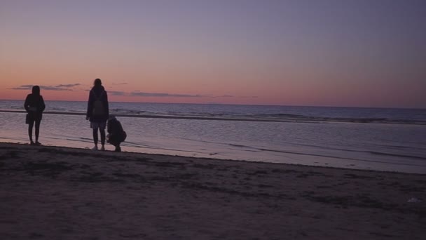 Quattro giovani donne camminano lungo la spiaggia serale — Video Stock