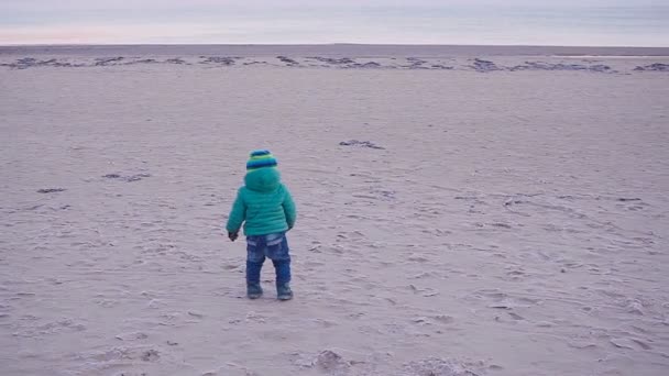 Niño feliz jugando en la orilla del mar — Vídeos de Stock