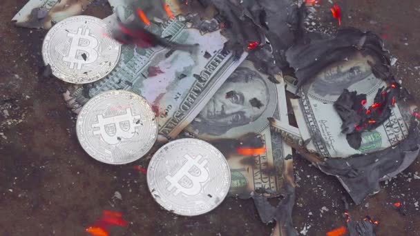Burning dollars. Bitcoin does not burn — Stock Video