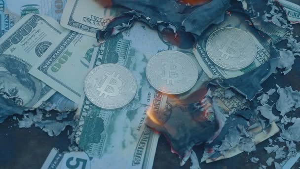 A queimar dólares. Bitcoin não queima — Vídeo de Stock